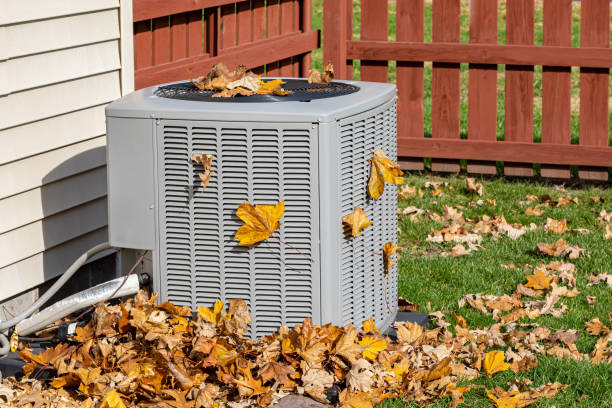 Best HVAC installation services  in Oral City, FL